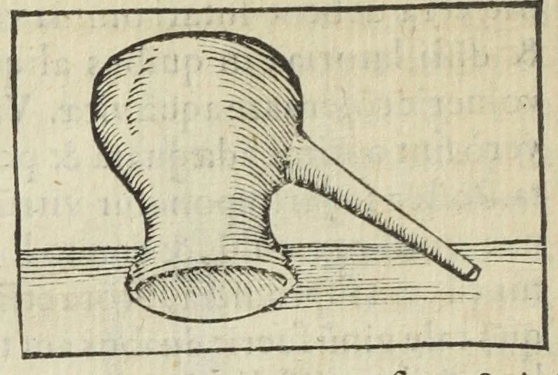An illustration from Cœlum philosophorum, seu liber de secretis naturæ, per Philippum Ulstadium ex variis autoribus accuratè selectus, variísque figuris illustratus. Nunc recèns adjecimus Joan. Anto. Campesii Directorium summæ summarum medicinæ., 1557, leaf 102