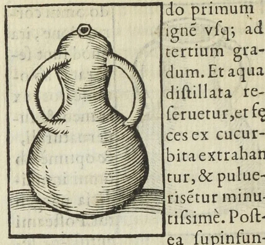 An illustration from Cœlum philosophorum, seu liber de secretis naturæ, per Philippum Ulstadium ex variis autoribus accuratè selectus, variísque figuris illustratus. Nunc recèns adjecimus Joan. Anto. Campesii Directorium summæ summarum medicinæ., 1557, leaf 156