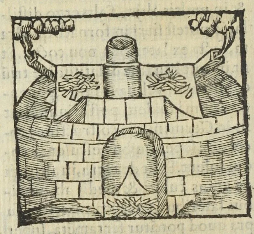 An illustration from Cœlum philosophorum, seu liber de secretis naturæ, per Philippum Ulstadium ex variis autoribus accuratè selectus, variísque figuris illustratus. Nunc recèns adjecimus Joan. Anto. Campesii Directorium summæ summarum medicinæ., 1557, leaf 176
