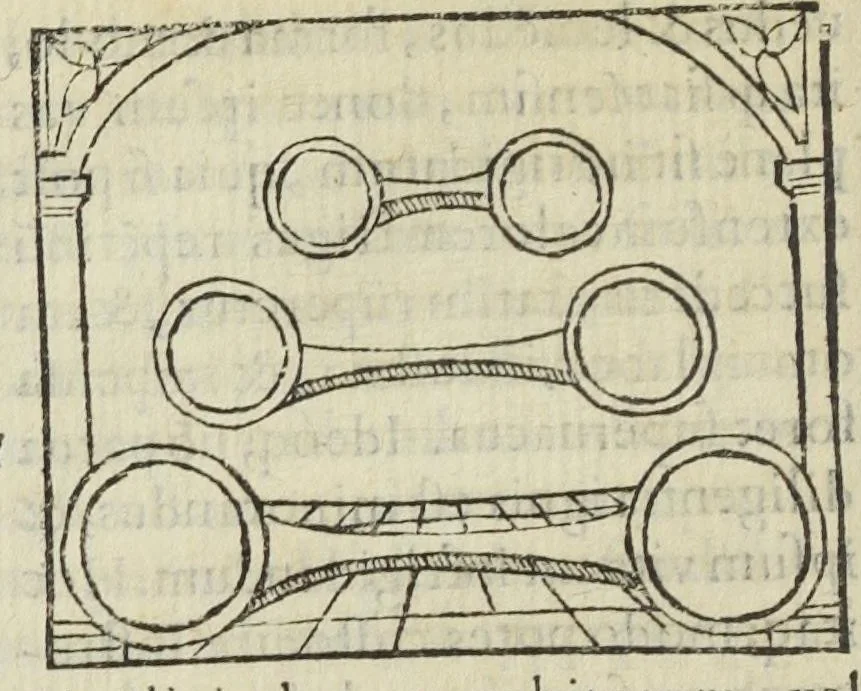 An illustration from Cœlum philosophorum, seu liber de secretis naturæ, per Philippum Ulstadium ex variis autoribus accuratè selectus, variísque figuris illustratus. Nunc recèns adjecimus Joan. Anto. Campesii Directorium summæ summarum medicinæ., 1557, leaf 186