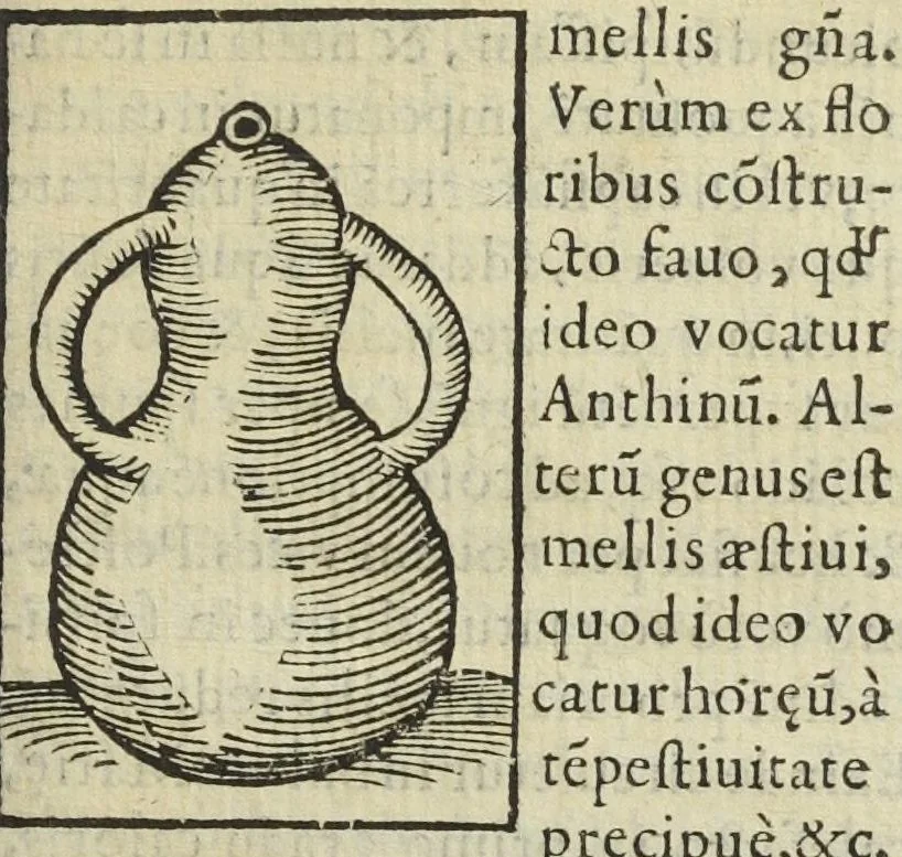 An illustration from Cœlum philosophorum, seu liber de secretis naturæ, per Philippum Ulstadium ex variis autoribus accuratè selectus, variísque figuris illustratus. Nunc recèns adjecimus Joan. Anto. Campesii Directorium summæ summarum medicinæ., 1557, leaf 191