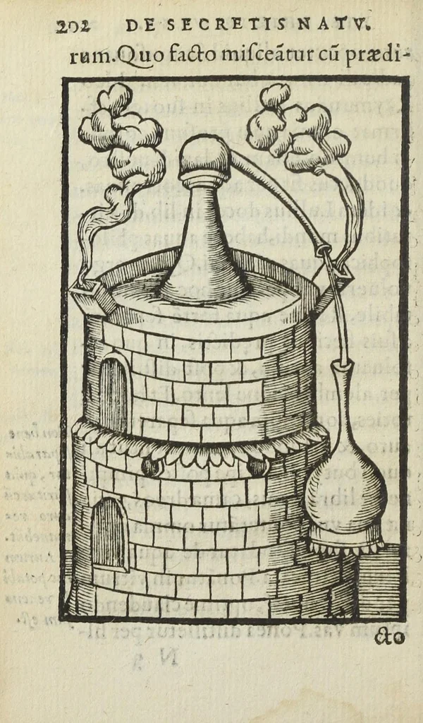 An illustration from Cœlum philosophorum, seu liber de secretis naturæ, per Philippum Ulstadium ex variis autoribus accuratè selectus, variísque figuris illustratus. Nunc recèns adjecimus Joan. Anto. Campesii Directorium summæ summarum medicinæ., 1557, leaf 204