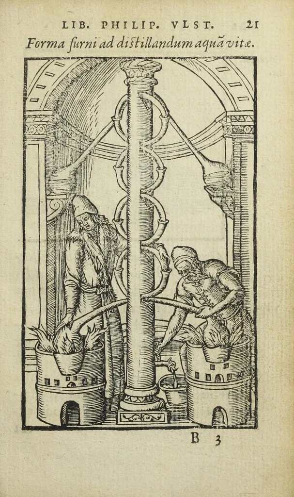 An illustration from Cœlum philosophorum, seu liber de secretis naturæ, per Philippum Ulstadium ex variis autoribus accuratè selectus, variísque figuris illustratus. Nunc recèns adjecimus Joan. Anto. Campesii Directorium summæ summarum medicinæ., 1557, leaf 23