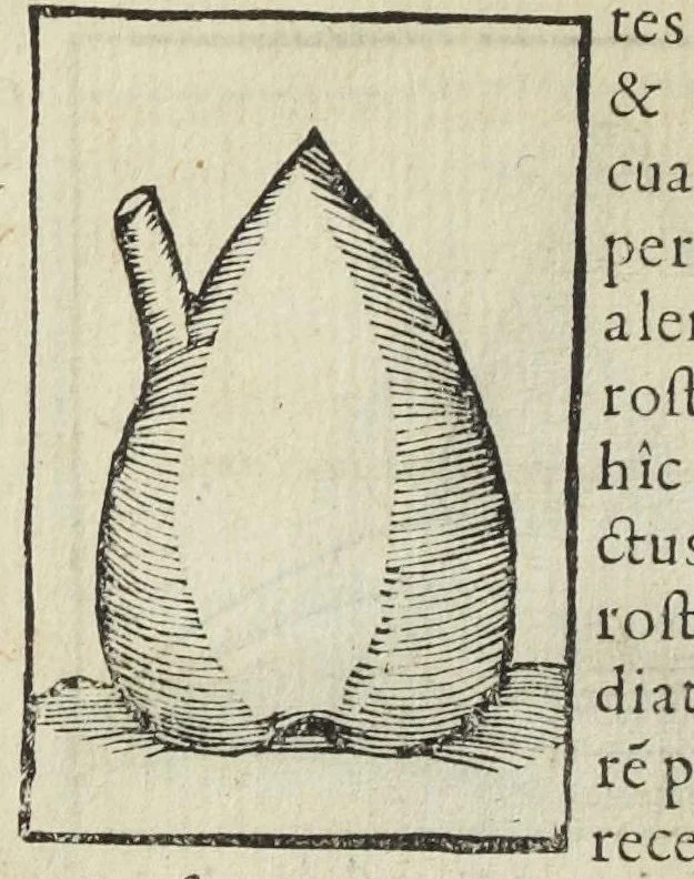 An illustration from Cœlum philosophorum, seu liber de secretis naturæ, per Philippum Ulstadium ex variis autoribus accuratè selectus, variísque figuris illustratus. Nunc recèns adjecimus Joan. Anto. Campesii Directorium summæ summarum medicinæ., 1557, leaf 26