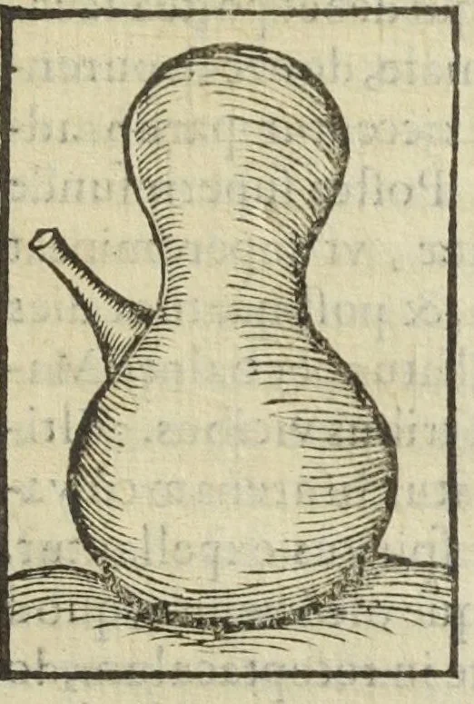 An illustration from Cœlum philosophorum, seu liber de secretis naturæ, per Philippum Ulstadium ex variis autoribus accuratè selectus, variísque figuris illustratus. Nunc recèns adjecimus Joan. Anto. Campesii Directorium summæ summarum medicinæ., 1557, leaf 297