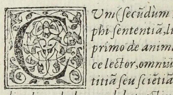 An illustration from Cœlum philosophorum, seu liber de secretis naturæ, per Philippum Ulstadium ex variis autoribus accuratè selectus, variísque figuris illustratus. Nunc recèns adjecimus Joan. Anto. Campesii Directorium summæ summarum medicinæ., 1557, leaf 376