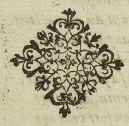 An illustration from Josephi Quercetani medici opera: scilicet, ad Jacobi Auberti vindonis de ortu & causis metallorum contra chymicos explicationem, brevis responsio. De exquisita mineralium, animalium, & vegetabilium medicamentorum spagyrica præparatione & usu, perspicua tractatio. Sclopetarius, sive, de curandis vulneribus, quæ sclopetorum & similium tormentorum ictibus acciderunt, liber. Antidotarium spagyricum adversus eosdem ictus., 1600, leaf 13