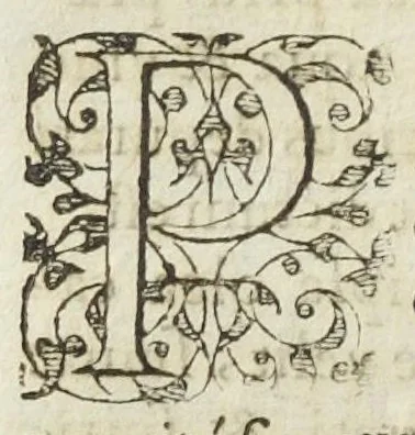 An illustration from Josephi Quercetani medici opera: scilicet, ad Jacobi Auberti vindonis de ortu & causis metallorum contra chymicos explicationem, brevis responsio. De exquisita mineralium, animalium, & vegetabilium medicamentorum spagyrica præparatione & usu, perspicua tractatio. Sclopetarius, sive, de curandis vulneribus, quæ sclopetorum & similium tormentorum ictibus acciderunt, liber. Antidotarium spagyricum adversus eosdem ictus., 1600, leaf 140