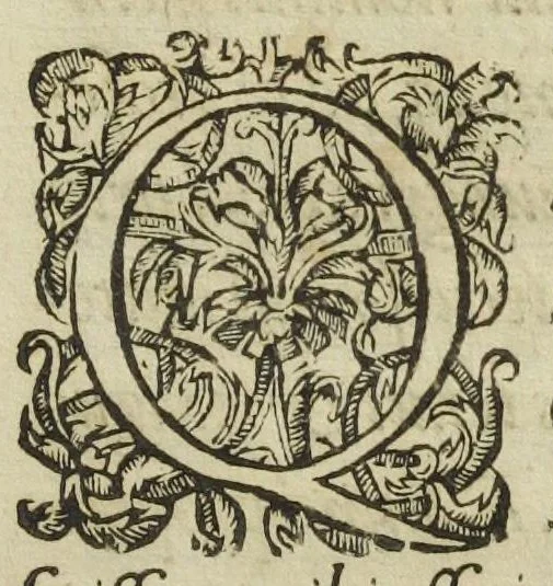 An illustration from Josephi Quercetani medici opera: scilicet, ad Jacobi Auberti vindonis de ortu & causis metallorum contra chymicos explicationem, brevis responsio. De exquisita mineralium, animalium, & vegetabilium medicamentorum spagyrica præparatione & usu, perspicua tractatio. Sclopetarius, sive, de curandis vulneribus, quæ sclopetorum & similium tormentorum ictibus acciderunt, liber. Antidotarium spagyricum adversus eosdem ictus., 1600, leaf 191