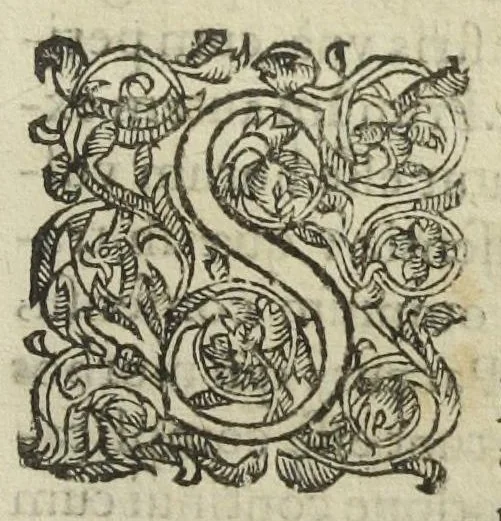 An illustration from Josephi Quercetani medici opera: scilicet, ad Jacobi Auberti vindonis de ortu & causis metallorum contra chymicos explicationem, brevis responsio. De exquisita mineralium, animalium, & vegetabilium medicamentorum spagyrica præparatione & usu, perspicua tractatio. Sclopetarius, sive, de curandis vulneribus, quæ sclopetorum & similium tormentorum ictibus acciderunt, liber. Antidotarium spagyricum adversus eosdem ictus., 1600, leaf 205