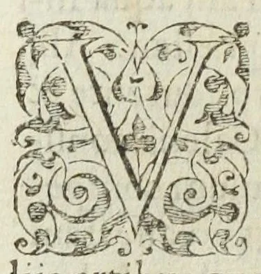 An illustration from Josephi Quercetani medici opera: scilicet, ad Jacobi Auberti vindonis de ortu & causis metallorum contra chymicos explicationem, brevis responsio. De exquisita mineralium, animalium, & vegetabilium medicamentorum spagyrica præparatione & usu, perspicua tractatio. Sclopetarius, sive, de curandis vulneribus, quæ sclopetorum & similium tormentorum ictibus acciderunt, liber. Antidotarium spagyricum adversus eosdem ictus., 1600, leaf 338