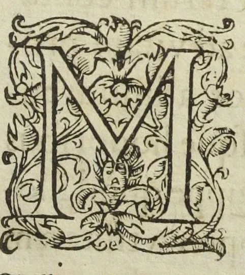 An illustration from Josephi Quercetani medici opera: scilicet, ad Jacobi Auberti vindonis de ortu & causis metallorum contra chymicos explicationem, brevis responsio. De exquisita mineralium, animalium, & vegetabilium medicamentorum spagyrica præparatione & usu, perspicua tractatio. Sclopetarius, sive, de curandis vulneribus, quæ sclopetorum & similium tormentorum ictibus acciderunt, liber. Antidotarium spagyricum adversus eosdem ictus., 1600, leaf 7