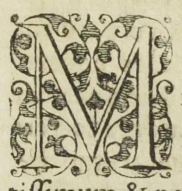 An illustration from Josephi Quercetani medici opera: scilicet, ad Jacobi Auberti vindonis de ortu & causis metallorum contra chymicos explicationem, brevis responsio. De exquisita mineralium, animalium, & vegetabilium medicamentorum spagyrica præparatione & usu, perspicua tractatio. Sclopetarius, sive, de curandis vulneribus, quæ sclopetorum & similium tormentorum ictibus acciderunt, liber. Antidotarium spagyricum adversus eosdem ictus., 1600, leaf 85