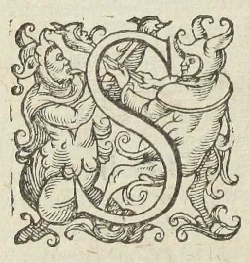 An illustration from Gulielmi Rondeletii doctoris medici, et medicinæ in schola Monspeliensi professoris regii & cancellarii Methodus curandorum omnium morborum corporis humani in tres libros distincta. Ejusdem de dignoscendis morbis. Febribus. Morbo Gallico. De internis & externis. Pharmacopolarum officina. Fucis. Omnia nunc primùm in lucem ædita, & diligentissimè castigata., 1574, leaf 1088