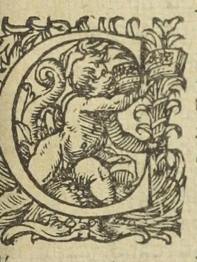 An illustration from Gulielmi Rondeletii doctoris medici, et medicinæ in schola Monspeliensi professoris regii & cancellarii Methodus curandorum omnium morborum corporis humani in tres libros distincta. Ejusdem de dignoscendis morbis. Febribus. Morbo Gallico. De internis & externis. Pharmacopolarum officina. Fucis. Omnia nunc primùm in lucem ædita, & diligentissimè castigata., 1574, leaf 1193