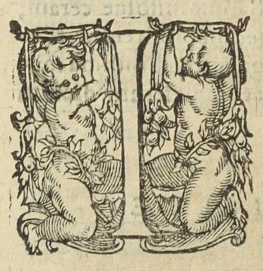 An illustration from Gulielmi Rondeletii doctoris medici, et medicinæ in schola Monspeliensi professoris regii & cancellarii Methodus curandorum omnium morborum corporis humani in tres libros distincta. Ejusdem de dignoscendis morbis. Febribus. Morbo Gallico. De internis & externis. Pharmacopolarum officina. Fucis. Omnia nunc primùm in lucem ædita, & diligentissimè castigata., 1574, leaf 1328