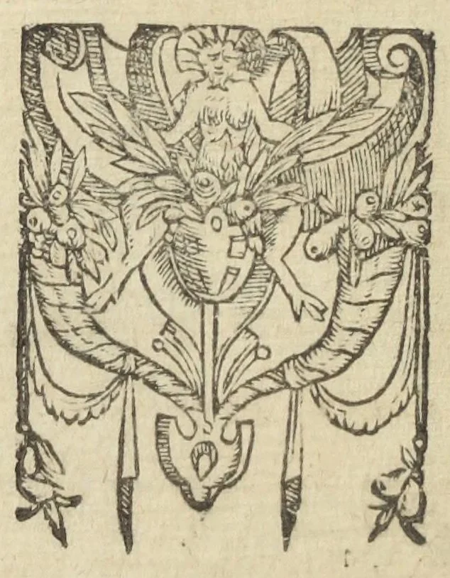 An illustration from Gulielmi Rondeletii doctoris medici, et medicinæ in schola Monspeliensi professoris regii & cancellarii Methodus curandorum omnium morborum corporis humani in tres libros distincta. Ejusdem de dignoscendis morbis. Febribus. Morbo Gallico. De internis & externis. Pharmacopolarum officina. Fucis. Omnia nunc primùm in lucem ædita, & diligentissimè castigata., 1574, leaf 28