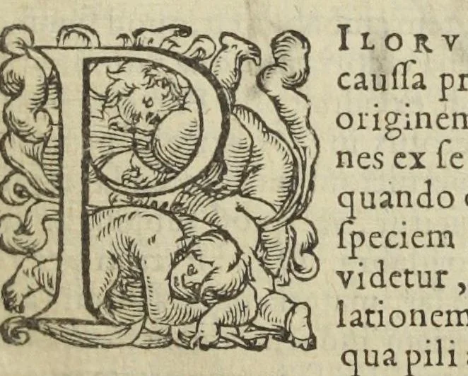 An illustration from Gulielmi Rondeletii doctoris medici, et medicinæ in schola Monspeliensi professoris regii & cancellarii Methodus curandorum omnium morborum corporis humani in tres libros distincta. Ejusdem de dignoscendis morbis. Febribus. Morbo Gallico. De internis & externis. Pharmacopolarum officina. Fucis. Omnia nunc primùm in lucem ædita, & diligentissimè castigata., 1574, leaf 29