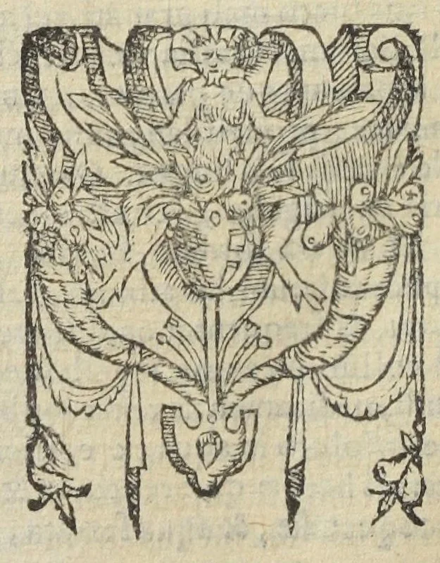 An illustration from Gulielmi Rondeletii doctoris medici, et medicinæ in schola Monspeliensi professoris regii & cancellarii Methodus curandorum omnium morborum corporis humani in tres libros distincta. Ejusdem de dignoscendis morbis. Febribus. Morbo Gallico. De internis & externis. Pharmacopolarum officina. Fucis. Omnia nunc primùm in lucem ædita, & diligentissimè castigata., 1574, leaf 352