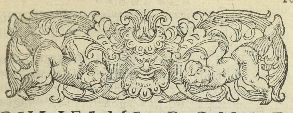 An illustration from Gulielmi Rondeletii doctoris medici, et medicinæ in schola Monspeliensi professoris regii & cancellarii Methodus curandorum omnium morborum corporis humani in tres libros distincta. Ejusdem de dignoscendis morbis. Febribus. Morbo Gallico. De internis & externis. Pharmacopolarum officina. Fucis. Omnia nunc primùm in lucem ædita, & diligentissimè castigata., 1574, leaf 353