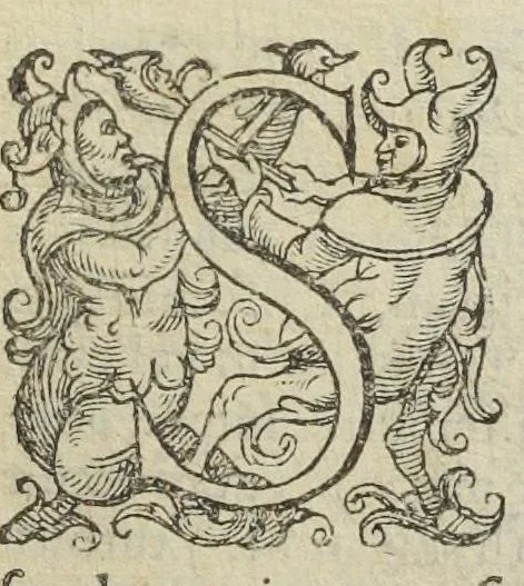 An illustration from Gulielmi Rondeletii doctoris medici, et medicinæ in schola Monspeliensi professoris regii & cancellarii Methodus curandorum omnium morborum corporis humani in tres libros distincta. Ejusdem de dignoscendis morbis. Febribus. Morbo Gallico. De internis & externis. Pharmacopolarum officina. Fucis. Omnia nunc primùm in lucem ædita, & diligentissimè castigata., 1574, leaf 353