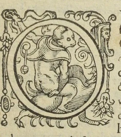 An illustration from Gulielmi Rondeletii doctoris medici, et medicinæ in schola Monspeliensi professoris regii & cancellarii Methodus curandorum omnium morborum corporis humani in tres libros distincta. Ejusdem de dignoscendis morbis. Febribus. Morbo Gallico. De internis & externis. Pharmacopolarum officina. Fucis. Omnia nunc primùm in lucem ædita, & diligentissimè castigata., 1574, leaf 443