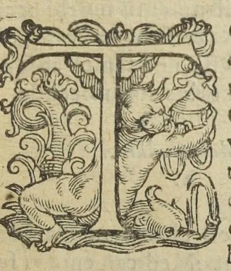 An illustration from Gulielmi Rondeletii doctoris medici, et medicinæ in schola Monspeliensi professoris regii & cancellarii Methodus curandorum omnium morborum corporis humani in tres libros distincta. Ejusdem de dignoscendis morbis. Febribus. Morbo Gallico. De internis & externis. Pharmacopolarum officina. Fucis. Omnia nunc primùm in lucem ædita, & diligentissimè castigata., 1574, leaf 685