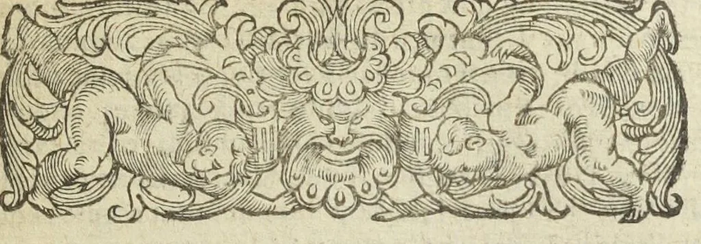 An illustration from Gulielmi Rondeletii doctoris medici, et medicinæ in schola Monspeliensi professoris regii & cancellarii Methodus curandorum omnium morborum corporis humani in tres libros distincta. Ejusdem de dignoscendis morbis. Febribus. Morbo Gallico. De internis & externis. Pharmacopolarum officina. Fucis. Omnia nunc primùm in lucem ædita, & diligentissimè castigata., 1574, leaf 789