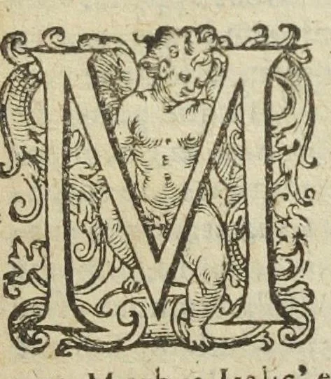 An illustration from Gulielmi Rondeletii doctoris medici, et medicinæ in schola Monspeliensi professoris regii & cancellarii Methodus curandorum omnium morborum corporis humani in tres libros distincta. Ejusdem de dignoscendis morbis. Febribus. Morbo Gallico. De internis & externis. Pharmacopolarum officina. Fucis. Omnia nunc primùm in lucem ædita, & diligentissimè castigata., 1574, leaf 885