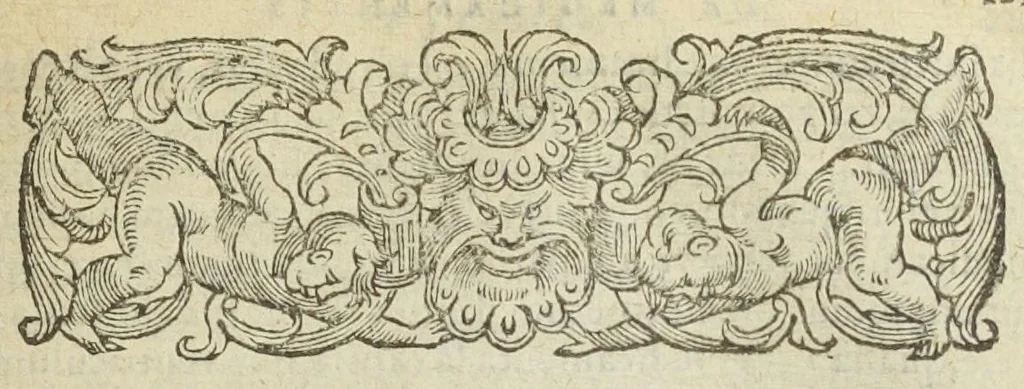 An illustration from Gulielmi Rondeletii doctoris medici, et medicinæ in schola Monspeliensi professoris regii & cancellarii Methodus curandorum omnium morborum corporis humani in tres libros distincta. Ejusdem de dignoscendis morbis. Febribus. Morbo Gallico. De internis & externis. Pharmacopolarum officina. Fucis. Omnia nunc primùm in lucem ædita, & diligentissimè castigata., 1574, leaf 925