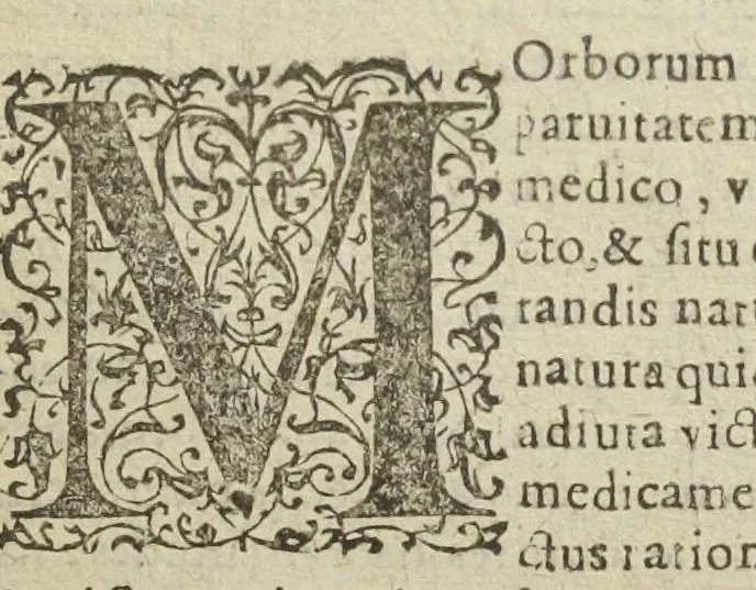 An illustration from Gulielmi Rondeletii doctoris medici, et medicinæ in schola Monspeliensi professoris regii & cancellarii Methodus curandorum omnium morborum corporis humani in tres libros distincta. Ejusdem de dignoscendis morbis. Febribus. Morbo Gallico. De internis & externis. Pharmacopolarum officina. Fucis. Omnia nunc primùm in lucem ædita, & diligentissimè castigata., 1574, leaf 925