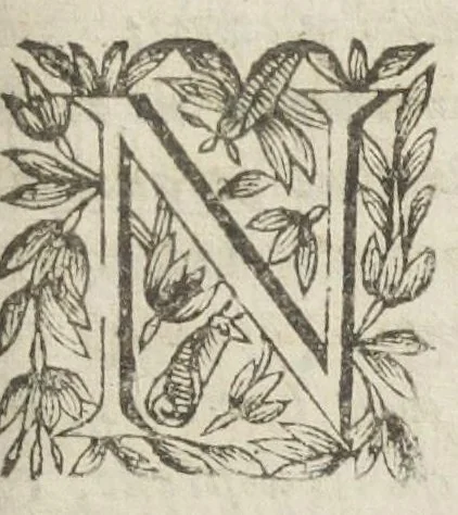 An illustration from Le regime de santé de l'Escole de Salerne. Traduit et commenté par maistre Michel Le Long, docteur en medecine. Avec l'Epistre de Diocle Carystien, touchant les presages des maladies, à Antigon roy d'Asie : et le Serment d'Hippocrate, mis de prose en vers françois par le mesme. Quatriesme edition., 1649, leaf 489