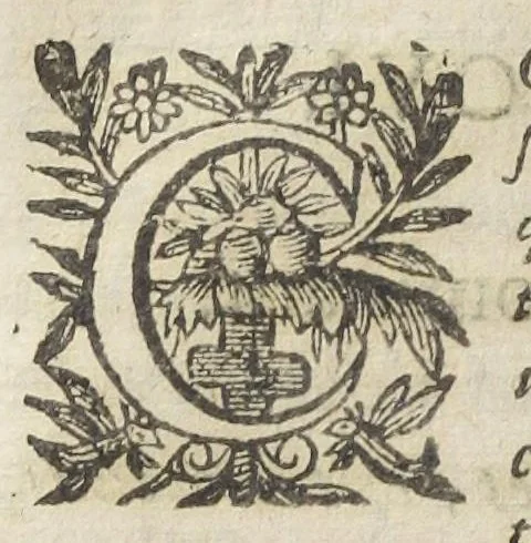 An illustration from Le regime de santé de l'Escole de Salerne. Traduit et commenté par maistre Michel Le Long, docteur en medecine. Avec l'Epistre de Diocle Carystien, touchant les presages des maladies, à Antigon roy d'Asie : et le Serment d'Hippocrate, mis de prose en vers françois par le mesme. Quatriesme edition., 1649, leaf 590