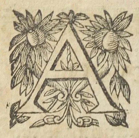 An illustration from Le regime de santé de l'Escole de Salerne. Traduit et commenté par maistre Michel Le Long, docteur en medecine. Avec l'Epistre de Diocle Carystien, touchant les presages des maladies, à Antigon roy d'Asie : et le Serment d'Hippocrate, mis de prose en vers françois par le mesme. Quatriesme edition., 1649, leaf 604