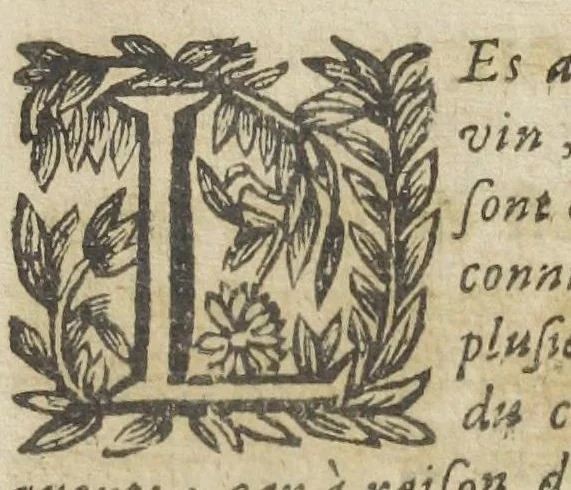 An illustration from Le regime de santé de l'Escole de Salerne. Traduit et commenté par maistre Michel Le Long, docteur en medecine. Avec l'Epistre de Diocle Carystien, touchant les presages des maladies, à Antigon roy d'Asie : et le Serment d'Hippocrate, mis de prose en vers françois par le mesme. Quatriesme edition., 1649, leaf 703