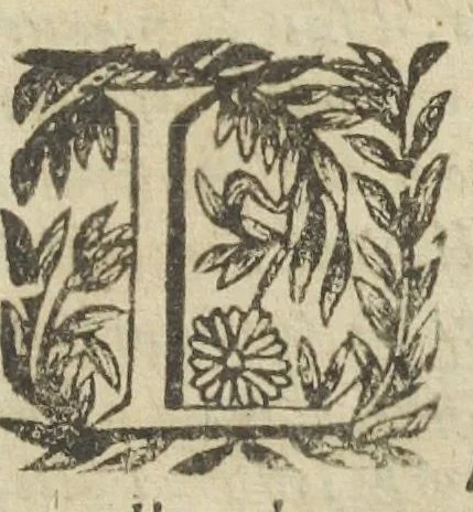 An illustration from Le regime de santé de l'Escole de Salerne. Traduit et commenté par maistre Michel Le Long, docteur en medecine. Avec l'Epistre de Diocle Carystien, touchant les presages des maladies, à Antigon roy d'Asie : et le Serment d'Hippocrate, mis de prose en vers françois par le mesme. Quatriesme edition., 1649, leaf 711