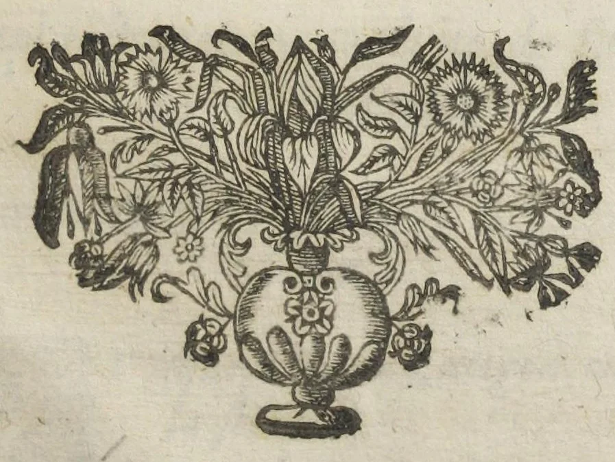 An illustration from Le regime de santé de l'Escole de Salerne. Traduit et commenté par maistre Michel Le Long, docteur en medecine. Avec l'Epistre de Diocle Carystien, touchant les presages des maladies, à Antigon roy d'Asie : et le Serment d'Hippocrate, mis de prose en vers françois par le mesme. Quatriesme edition., 1649, leaf 727
