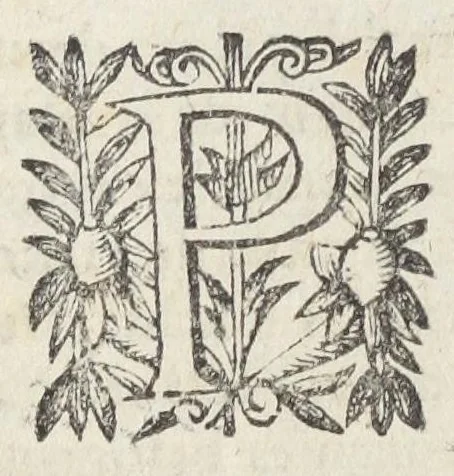 An illustration from Essay des merveilles de nature, et des plus nobles artifices. Piece tres-necessaire à tous ceux qui font profession d'eloquence. Par René François, predicateur du roy. Treiziesme edition. Reveue, corrigée, & augmentée de nouveau., 1657, leaf 228