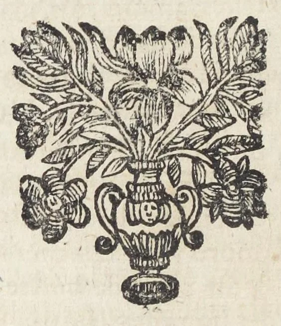 An illustration from Essay des merveilles de nature, et des plus nobles artifices. Piece tres-necessaire à tous ceux qui font profession d'eloquence. Par René François, predicateur du roy. Treiziesme edition. Reveue, corrigée, & augmentée de nouveau., 1657, leaf 250