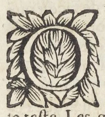 An illustration from Essay des merveilles de nature, et des plus nobles artifices. Piece tres-necessaire à tous ceux qui font profession d'eloquence. Par René François, predicateur du roy. Treiziesme edition. Reveue, corrigée, & augmentée de nouveau., 1657, leaf 318