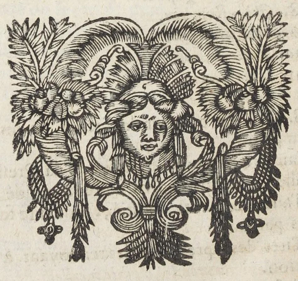 An illustration from Essay des merveilles de nature, et des plus nobles artifices. Piece tres-necessaire à tous ceux qui font profession d'eloquence. Par René François, predicateur du roy. Treiziesme edition. Reveue, corrigée, & augmentée de nouveau., 1657, leaf 324