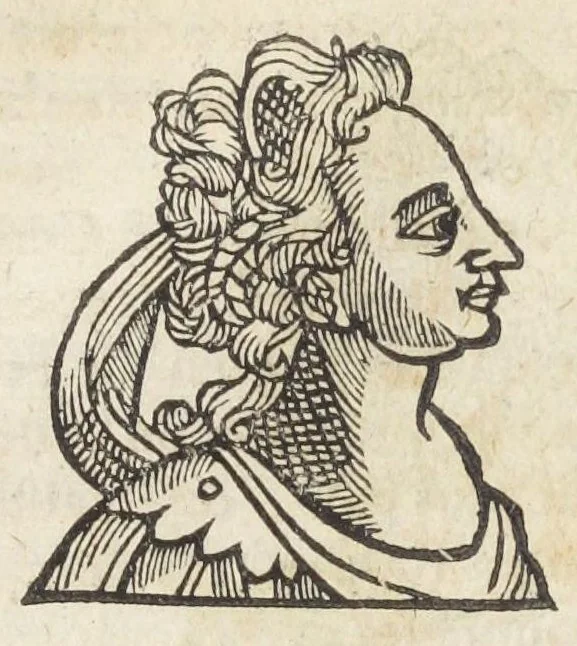 An illustration from Essay des merveilles de nature, et des plus nobles artifices. Piece tres-necessaire à tous ceux qui font profession d'eloquence. Par René François, predicateur du roy. Treiziesme edition. Reveue, corrigée, & augmentée de nouveau., 1657, leaf 335