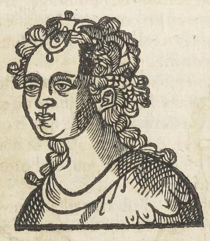 An illustration from Essay des merveilles de nature, et des plus nobles artifices. Piece tres-necessaire à tous ceux qui font profession d'eloquence. Par René François, predicateur du roy. Treiziesme edition. Reveue, corrigée, & augmentée de nouveau., 1657, leaf 335
