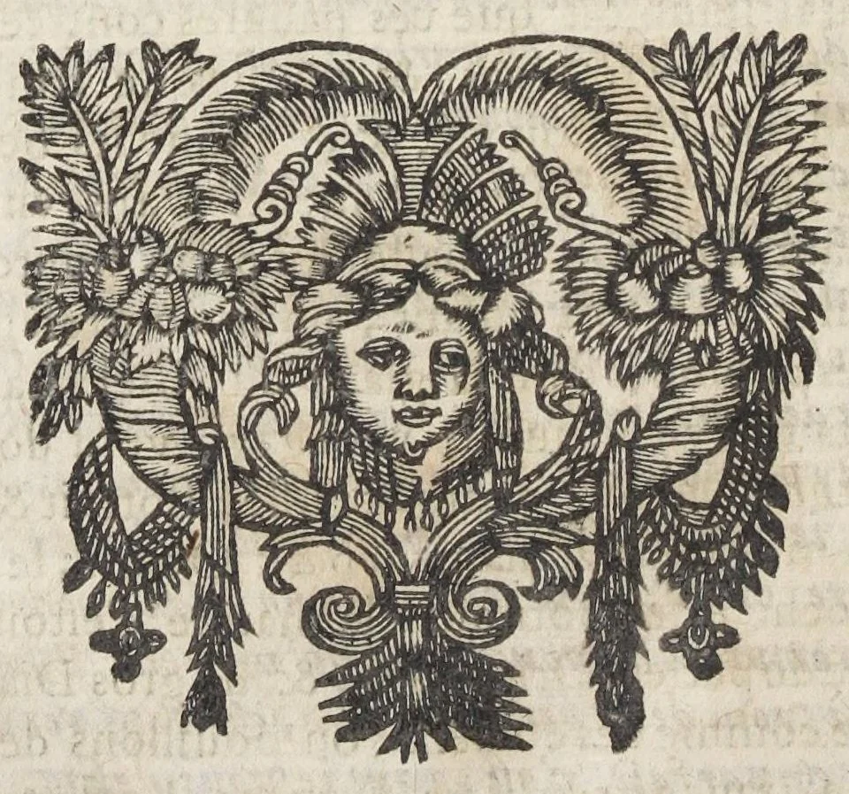 An illustration from Essay des merveilles de nature, et des plus nobles artifices. Piece tres-necessaire à tous ceux qui font profession d'eloquence. Par René François, predicateur du roy. Treiziesme edition. Reveue, corrigée, & augmentée de nouveau., 1657, leaf 368