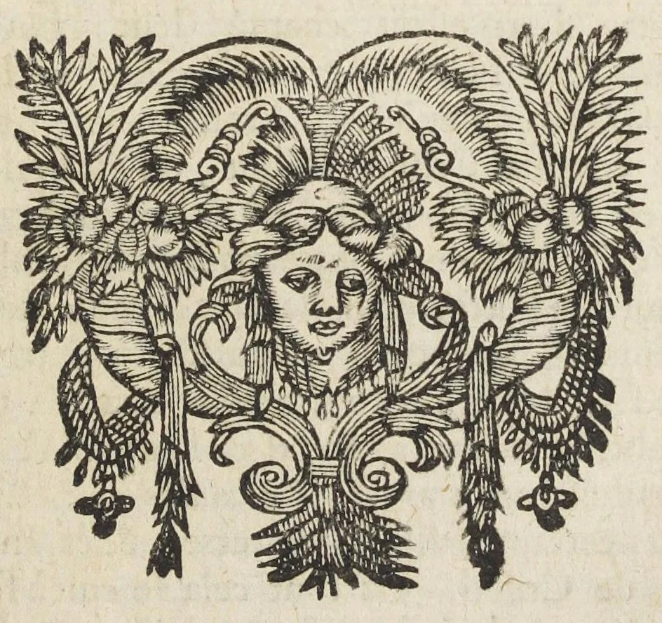 An illustration from Essay des merveilles de nature, et des plus nobles artifices. Piece tres-necessaire à tous ceux qui font profession d'eloquence. Par René François, predicateur du roy. Treiziesme edition. Reveue, corrigée, & augmentée de nouveau., 1657, leaf 399
