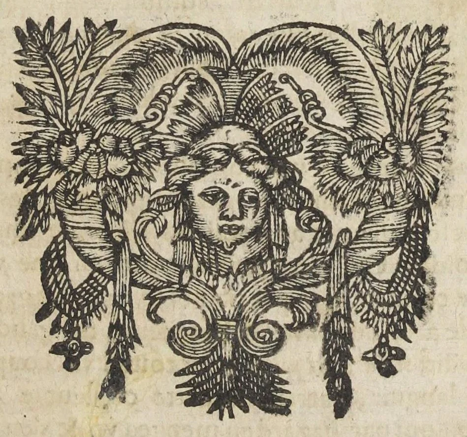 An illustration from Essay des merveilles de nature, et des plus nobles artifices. Piece tres-necessaire à tous ceux qui font profession d'eloquence. Par René François, predicateur du roy. Treiziesme edition. Reveue, corrigée, & augmentée de nouveau., 1657, leaf 403