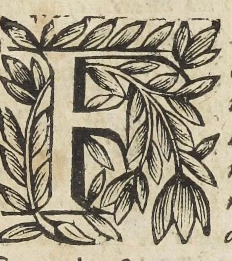 An illustration from Essay des merveilles de nature, et des plus nobles artifices. Piece tres-necessaire à tous ceux qui font profession d'eloquence. Par René François, predicateur du roy. Treiziesme edition. Reveue, corrigée, & augmentée de nouveau., 1657, leaf 411