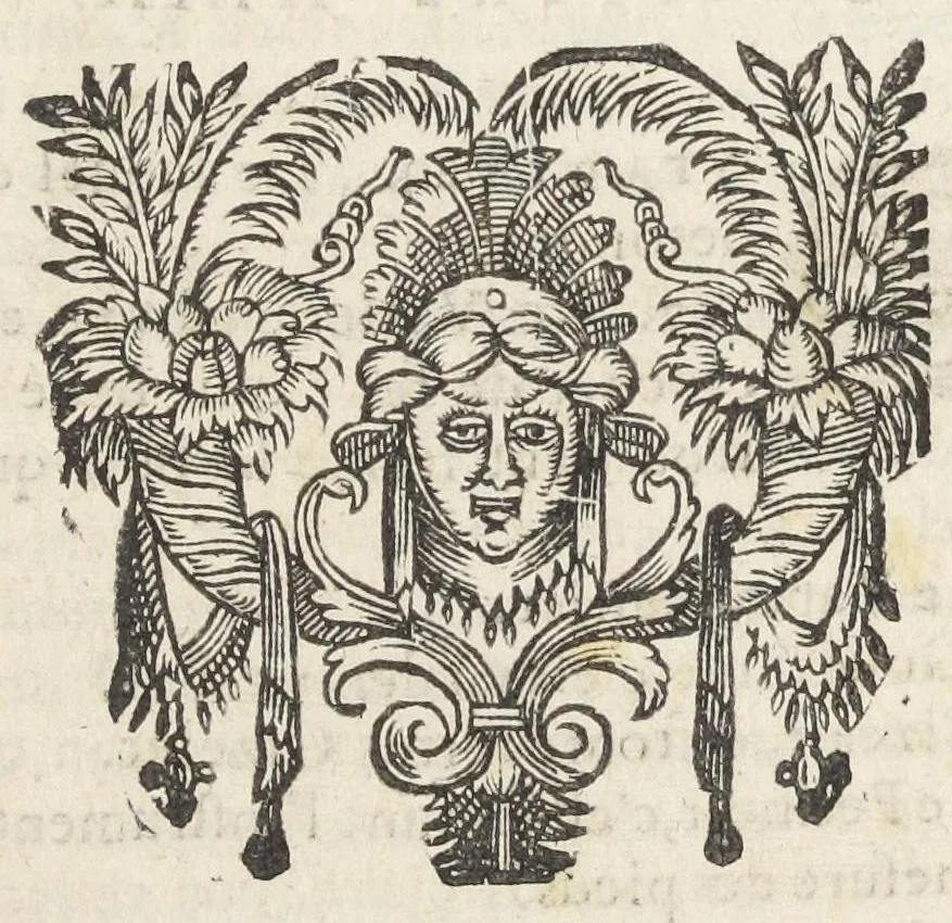 An illustration from Essay des merveilles de nature, et des plus nobles artifices. Piece tres-necessaire à tous ceux qui font profession d'eloquence. Par René François, predicateur du roy. Treiziesme edition. Reveue, corrigée, & augmentée de nouveau., 1657, leaf 477