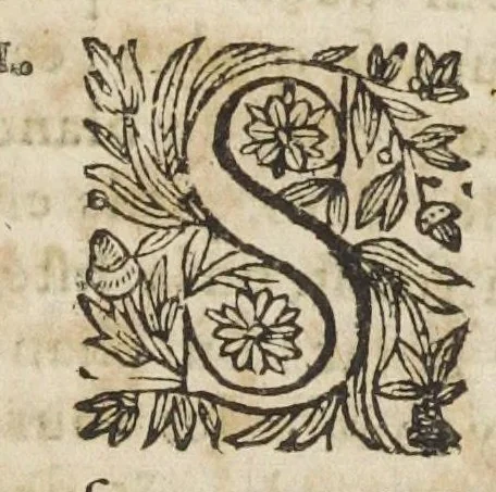 An illustration from Essay des merveilles de nature, et des plus nobles artifices. Piece tres-necessaire à tous ceux qui font profession d'eloquence. Par René François, predicateur du roy. Treiziesme edition. Reveue, corrigée, & augmentée de nouveau., 1657, leaf 581