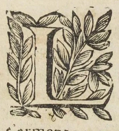 An illustration from Essay des merveilles de nature, et des plus nobles artifices. Piece tres-necessaire à tous ceux qui font profession d'eloquence. Par René François, predicateur du roy. Treiziesme edition. Reveue, corrigée, & augmentée de nouveau., 1657, leaf 599